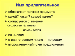 Урок русского языка в 3 классе. Обобщение знаний об имени прилагательном, слайд 7