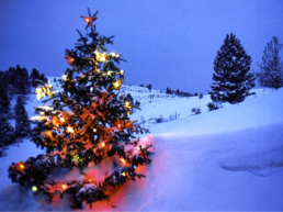 Christmas and new year. Рождество и Новый год, слайд 4