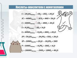 Окислительные свойства концентрированной серной и азотной (концентрированной и разбавленной) кислот, слайд 11