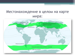 «Особенности климатического пояса Нижегородской области», слайд 4