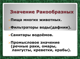 Тип Членистоногие. Класс Ракообразные, слайд 16