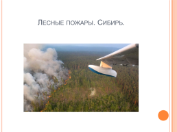 Проект по ОБЖ на тему: «7 самых крупных трагедий 2021 года в России», слайд 6