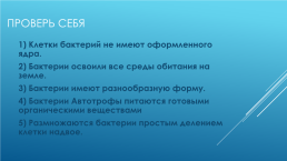 Строение и жизнедеятельность бактерий, слайд 13