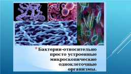 Строение и жизнедеятельность бактерий, слайд 4