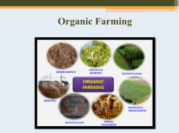 Organic Farming, слайд 4