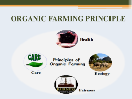 Organic Farming, слайд 7