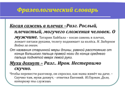 Урок русского языка в 5 классе, слайд 21