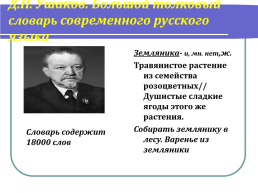 Урок русского языка в 5 классе, слайд 8