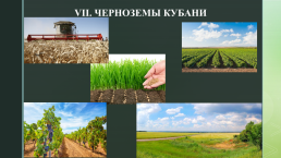 «Почва - особое природное тело краснодарского края.», слайд 10