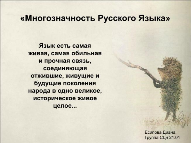 «Многозначность русского языка»