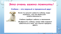 Собака-друг человека, слайд 4