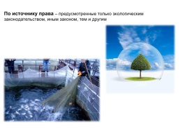 По «ответственность за экологические нарушения», слайд 12