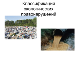 По «ответственность за экологические нарушения», слайд 6