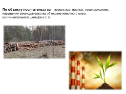 По «ответственность за экологические нарушения», слайд 8