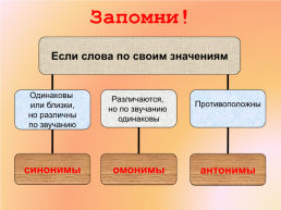 Синонимы,антонимы, омонимы. Русский язык 4 в классе, слайд 19