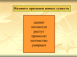 Неживая и живая природа. Явления природы.. Окружающий мир 2 класс, слайд 8