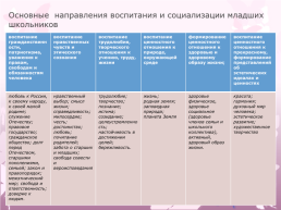 Воспитание и социализация младших школьников в условиях реализации ФГОС НОО, слайд 11