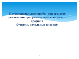 Профессиональные пробы как средство реализации программы педагогического профиля «учитель начальных классов»