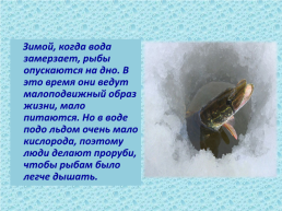 Рыбы, слайд 7