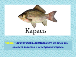 Рыбы, слайд 9