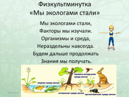 Экологические факторы среды, слайд 13