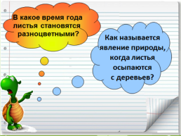 Что это за листья?. Окружающий мир класс: 1 программа : «школа России», слайд 5