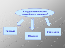 Урок окружающего мира в 3 классе, слайд 6