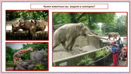 Что такое зоопарк, слайд 10