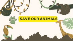 Save our animals