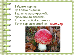 В. Берестов «Хитрые грибы», слайд 18