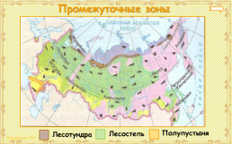 Природные зоны России, слайд 7