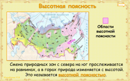 Природные зоны России, слайд 8