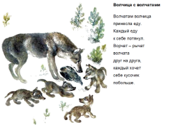 Иллюстрации Евгения Чарушина, слайд 12