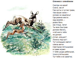 Иллюстрации Евгения Чарушина, слайд 14