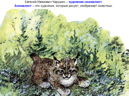 Иллюстрации Евгения Чарушина, слайд 3