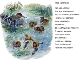 Иллюстрации Евгения Чарушина, слайд 7