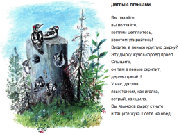 Иллюстрации Евгения Чарушина, слайд 8