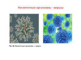 Организм – единое целое, слайд 4