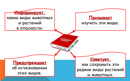 Урок окружающего мира тема: «Красная книга», слайд 4