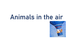 Animals in the air, слайд 1