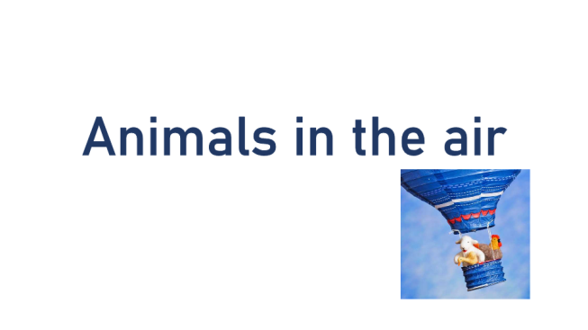 Animals in the air