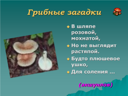 В царстве грибов. (2 класс), слайд 7