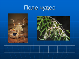 Эволюция органического мира, слайд 3