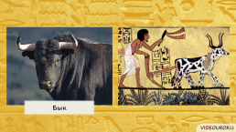 Религия Древних Египтян, слайд 14