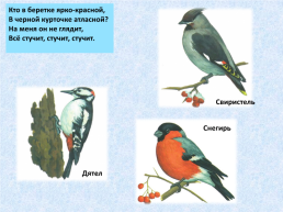 «Угадай и назови» зимующие птицы, слайд 9