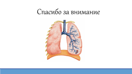 Бронхиальная астма, слайд 14