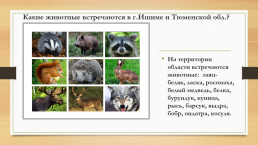 Многообразие животных родного края и разных территорий России, слайд 15