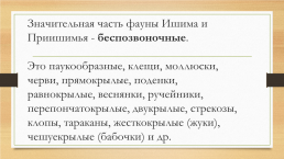 Многообразие животных родного края и разных территорий России, слайд 8