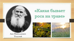 Лев Николаевич Толстой, слайд 4