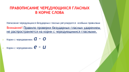 Интенсивный курс по подготовке к ЕГЭ по русскому языку, слайд 10